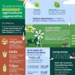 Campaña de verano reactiva ciertos sectores productivos