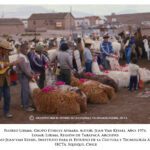 El ritual del floreo de ganado en comunidades andinas