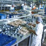 Manufactura peruana y su desempeño reciente