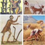 Prácticas agrícolas tradicionales que aún se conservan